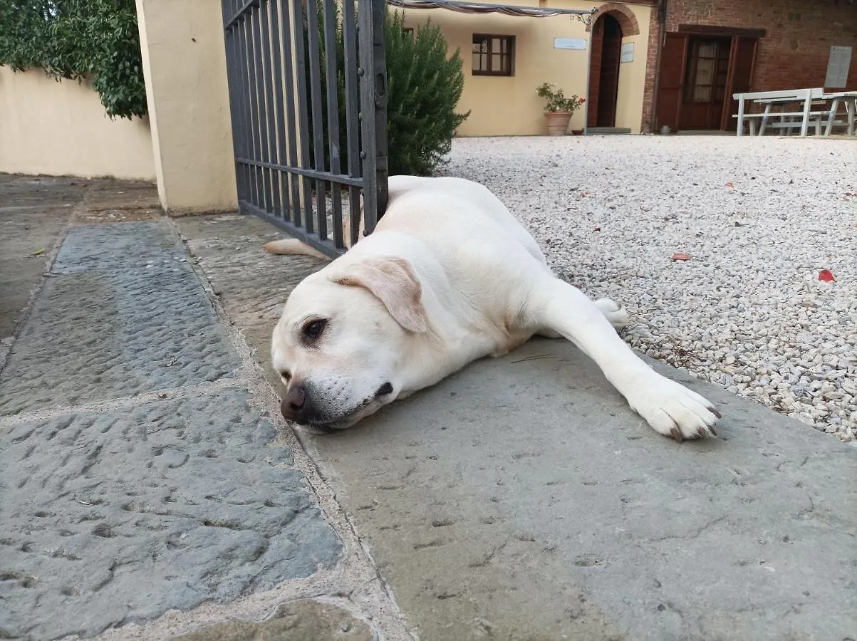 Landhuis Podere Il Belvedere Su Cortona Castiglion Fiorentino Italië